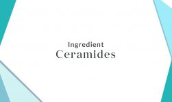 ceramides trong mỹ phẩm