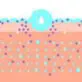 hyaluronic acid