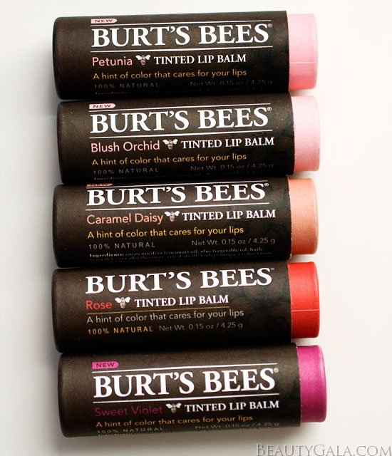 son dưỡng burt's bees tinted lip balm