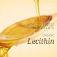 Lợi ích của Lecithin