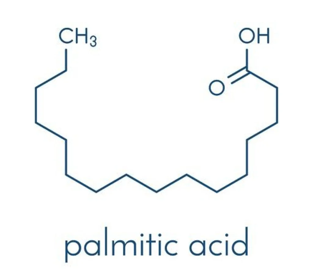 palmitic acid