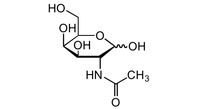 Acetyl Glucosamine