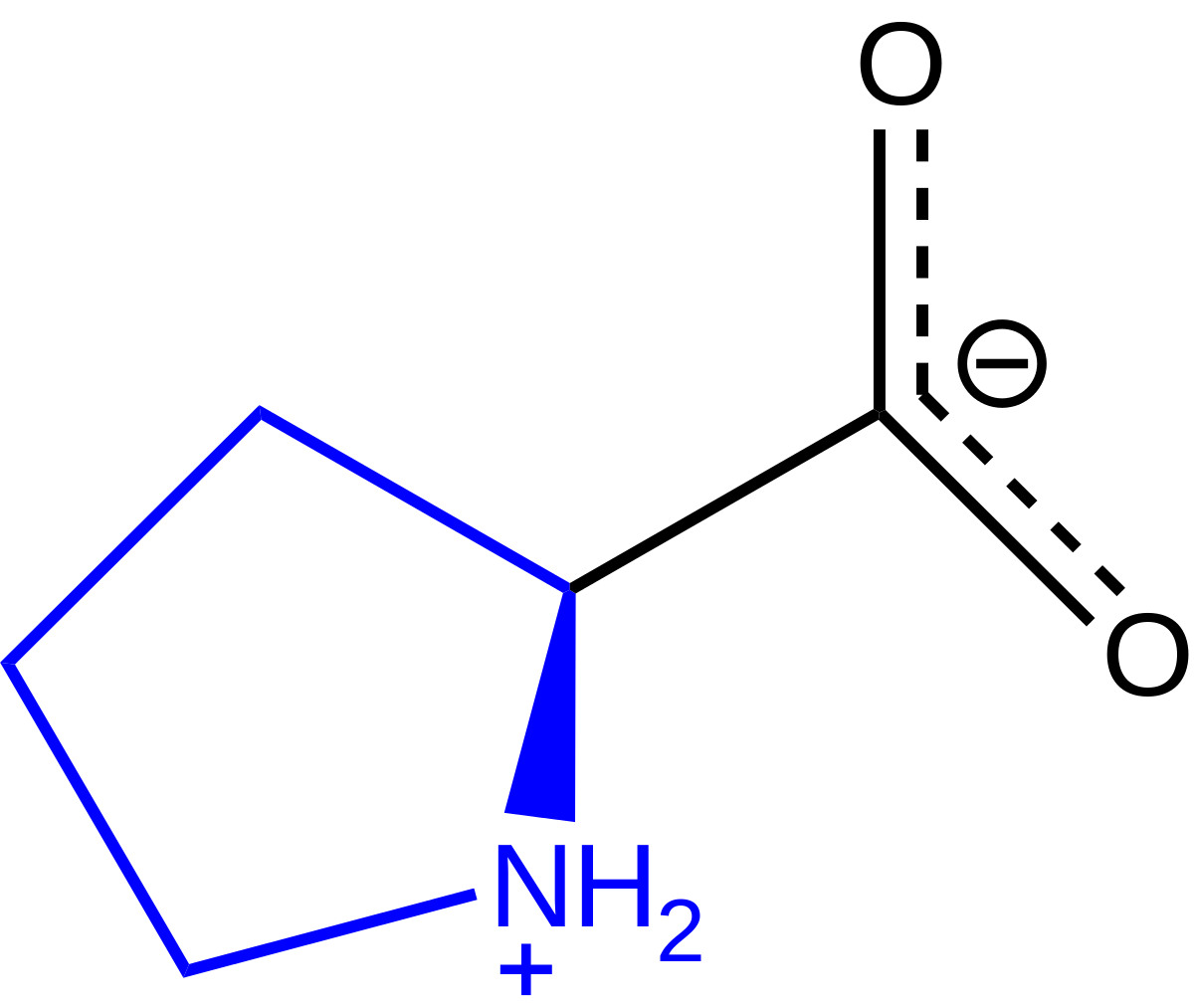 proline