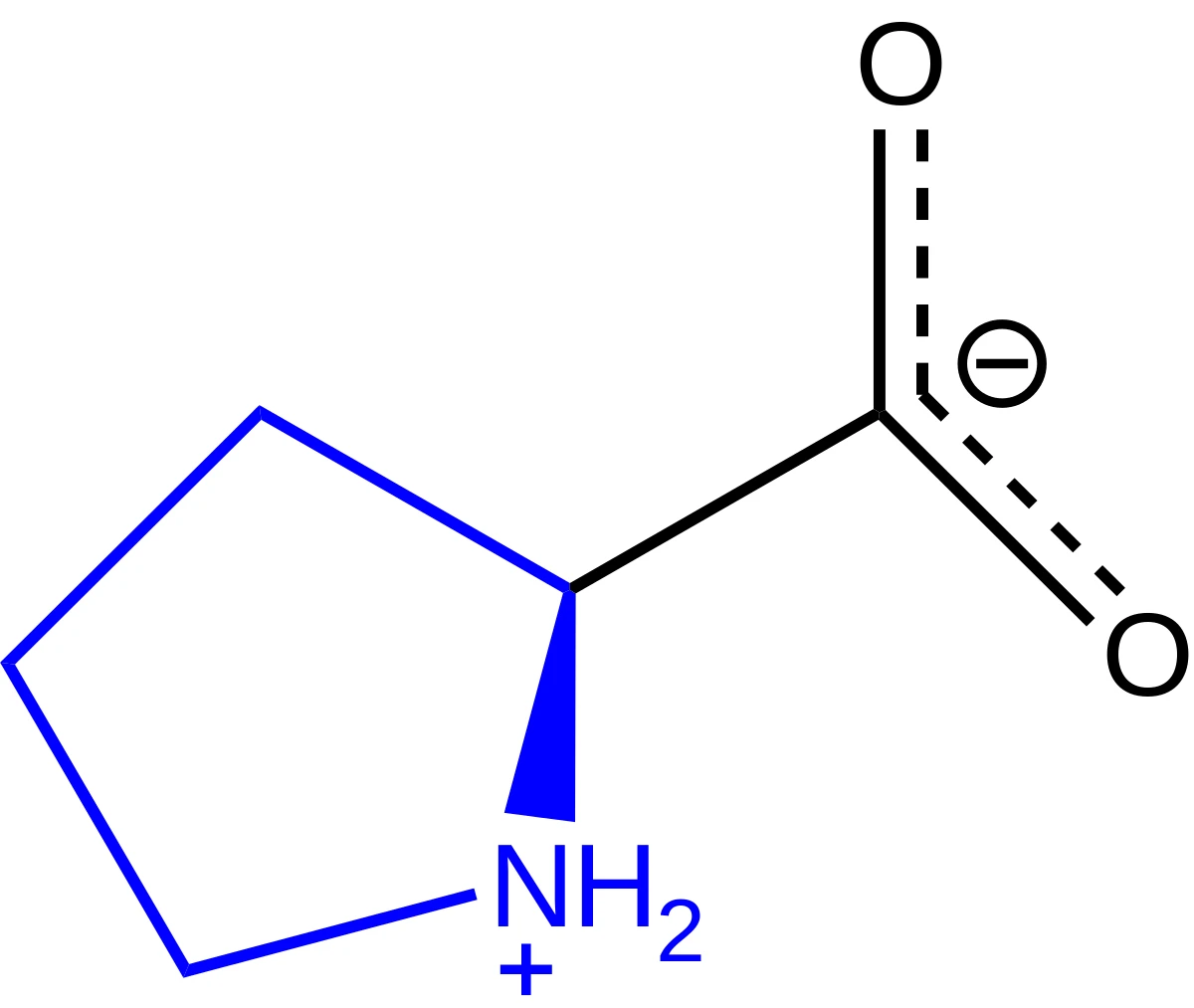 proline