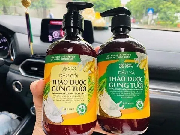 dầu gội thảo dược gừng dừa cỏ cây hoa lá